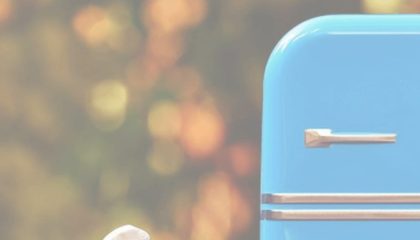 как помыть холодильник