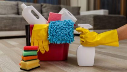 Уборка домов и квартир в Осокорках